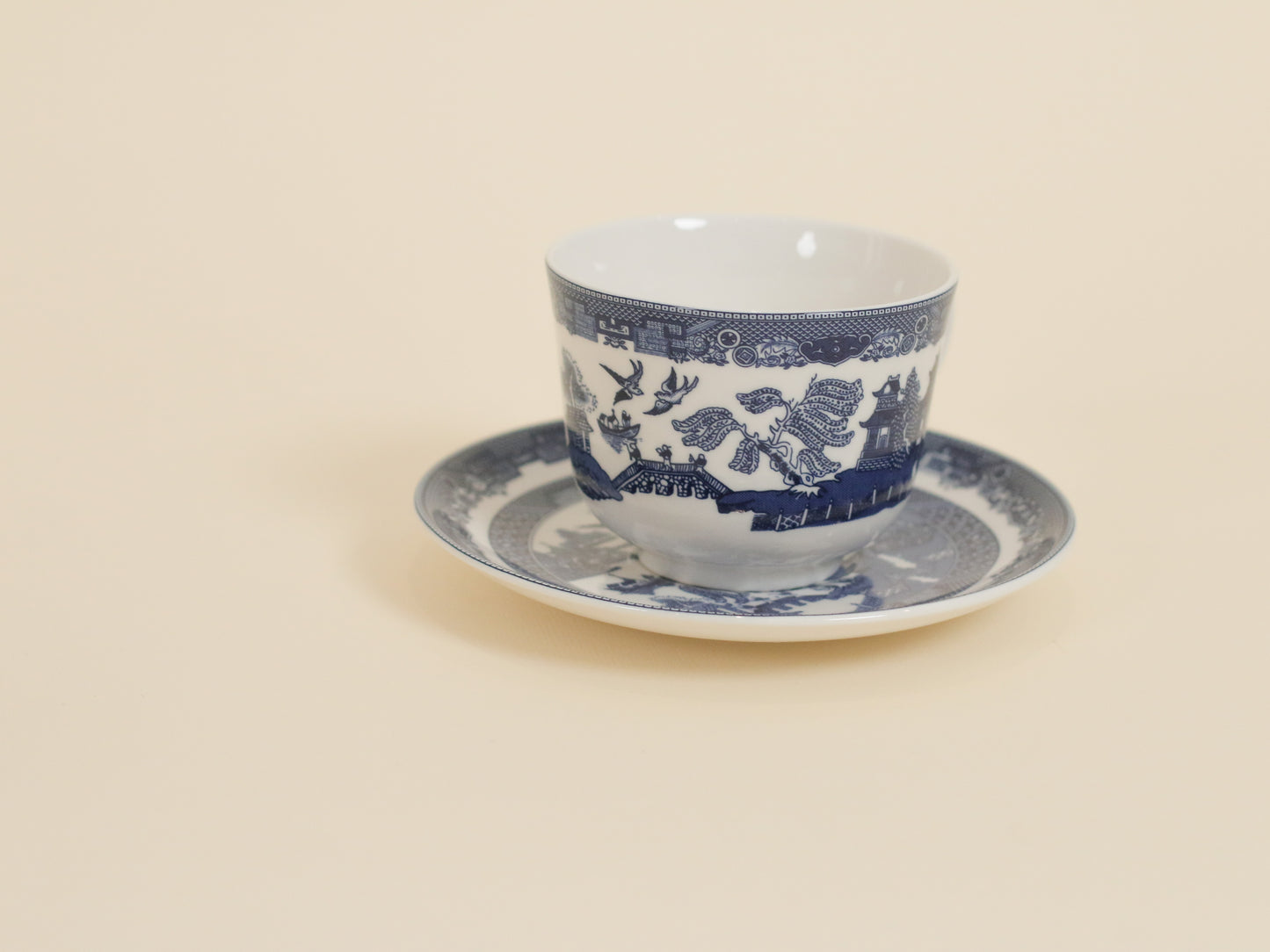 Blue Willow Cup & Saucer