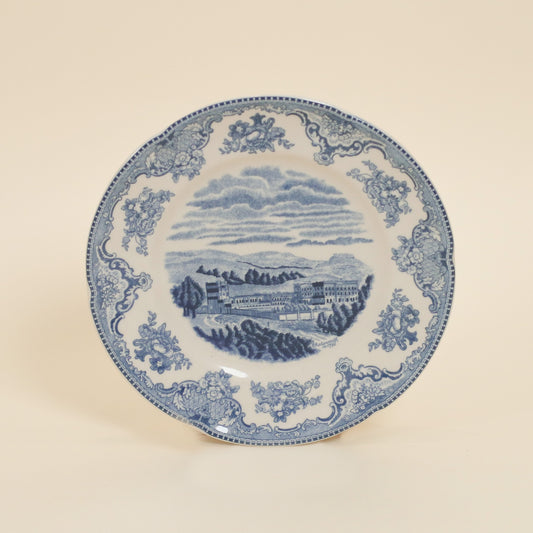 Dinner Plate (8 inch)